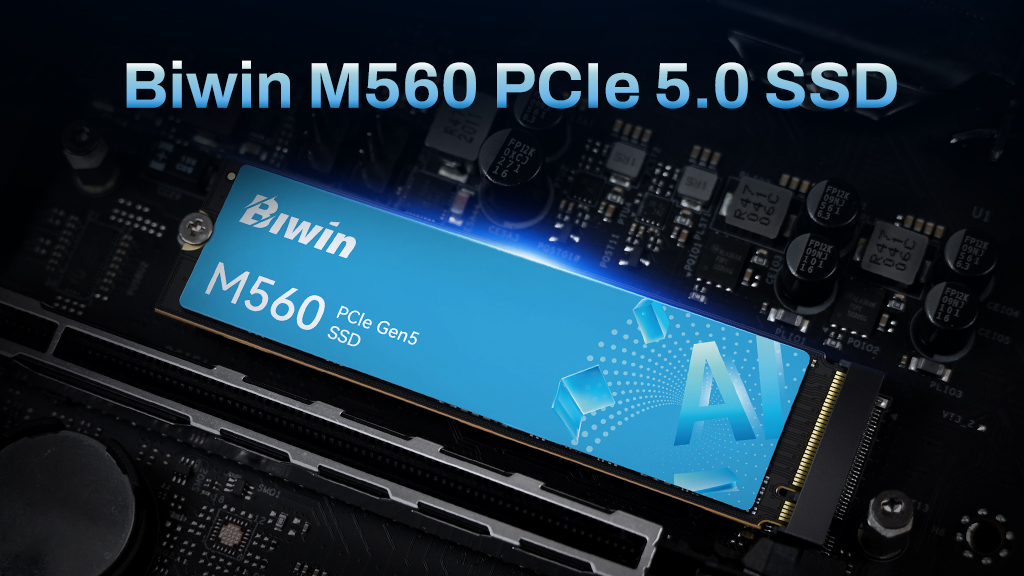 SSD PCIe 5.0 Biwin M560